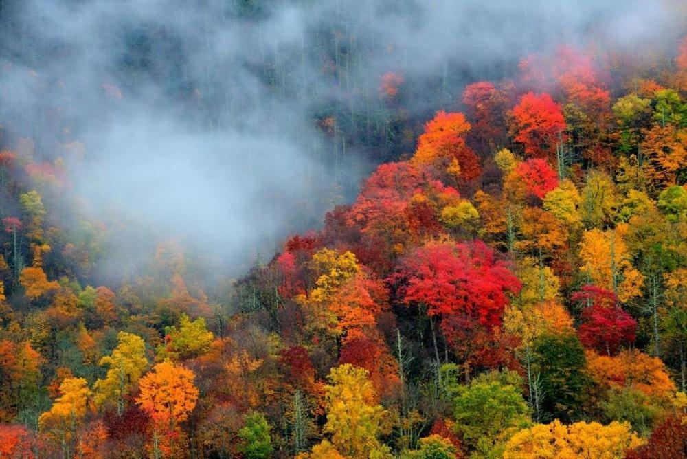 Modern Style, Arcade, Fire Pit, Pet Friendly Сasa de vacaciones Pigeon Forge
