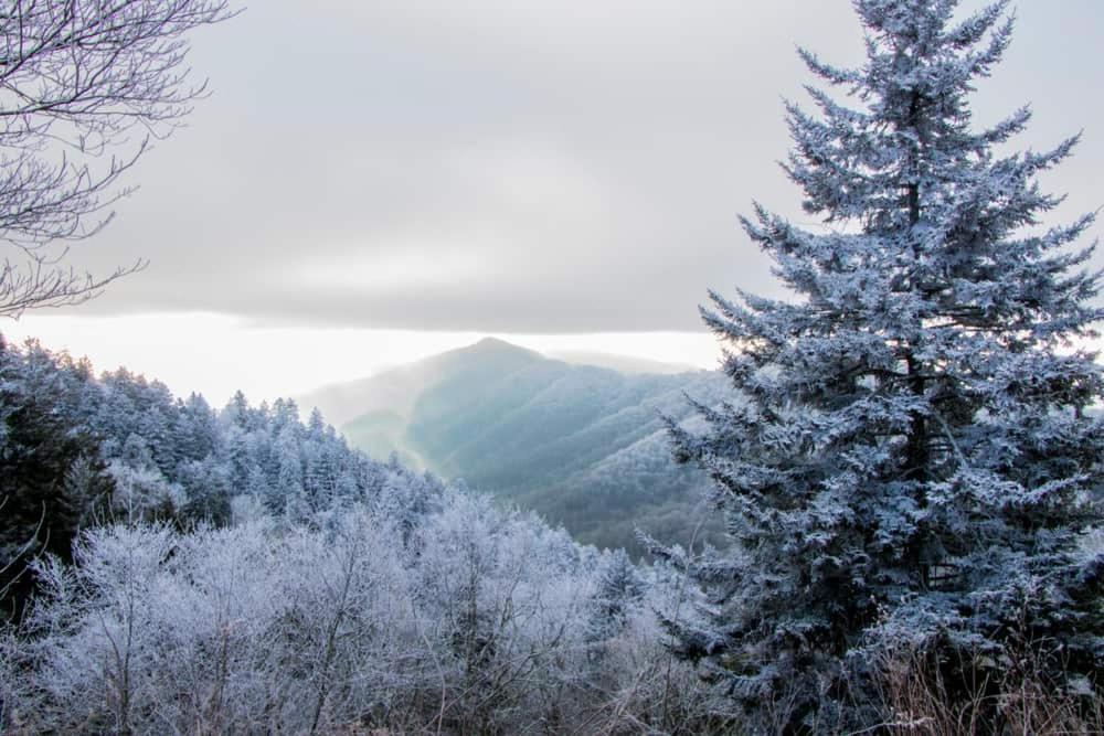 Сasa de vacaciones Modern Style, Arcade, Fire Pit, Pet Friendly Pigeon Forge